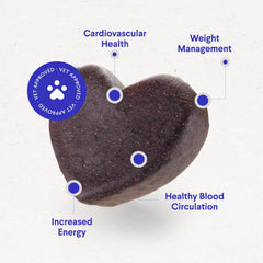 Wonder Paws Cardio Chews dog enjoying treats during play for energy.
