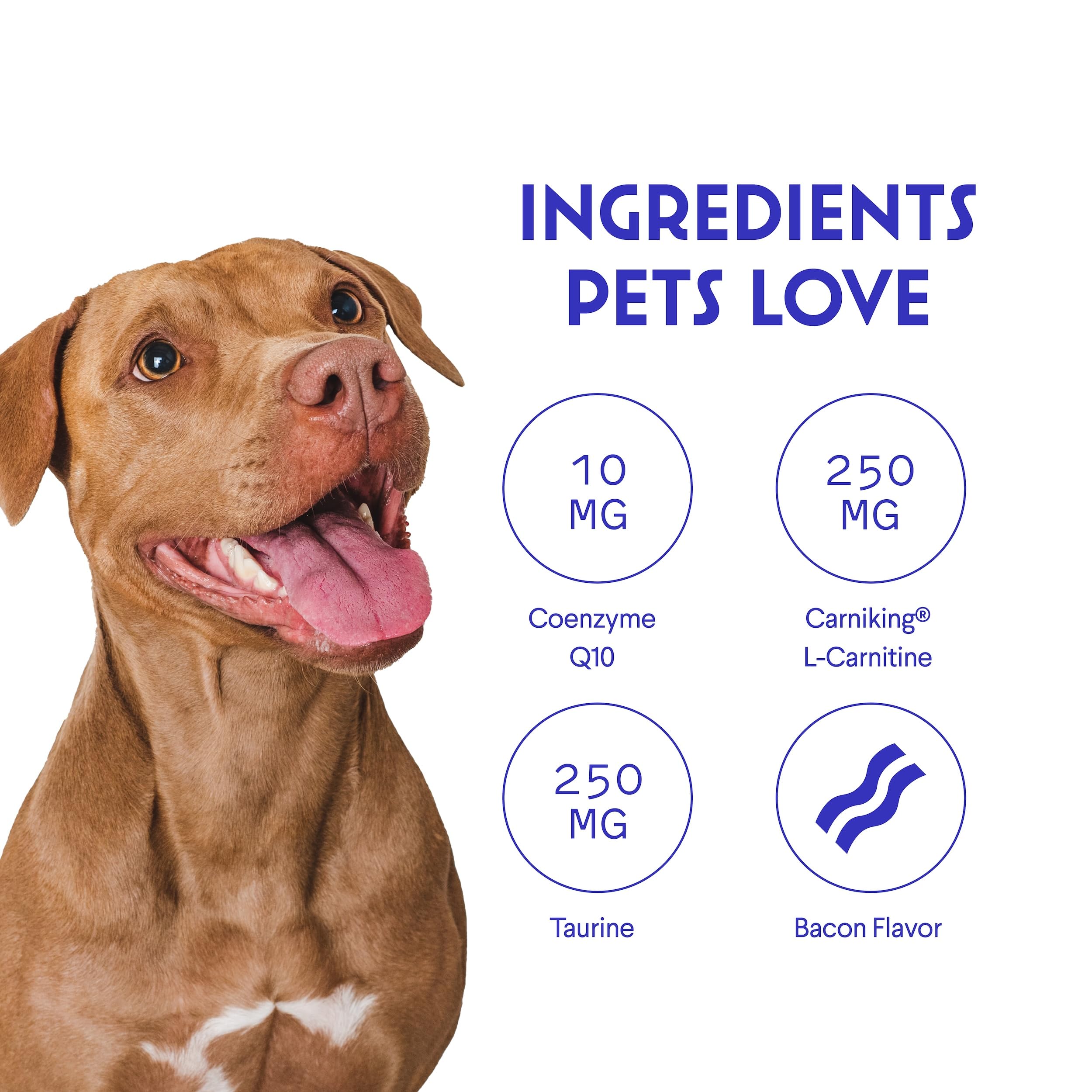 Wonder Paws Cardio Chews packaging shows USA-made quality and GMP adherence.