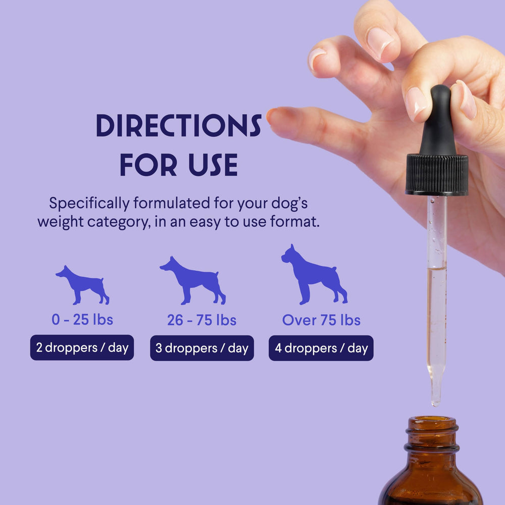 Wonder Paws dog nails health image emphasizes stronger nails
