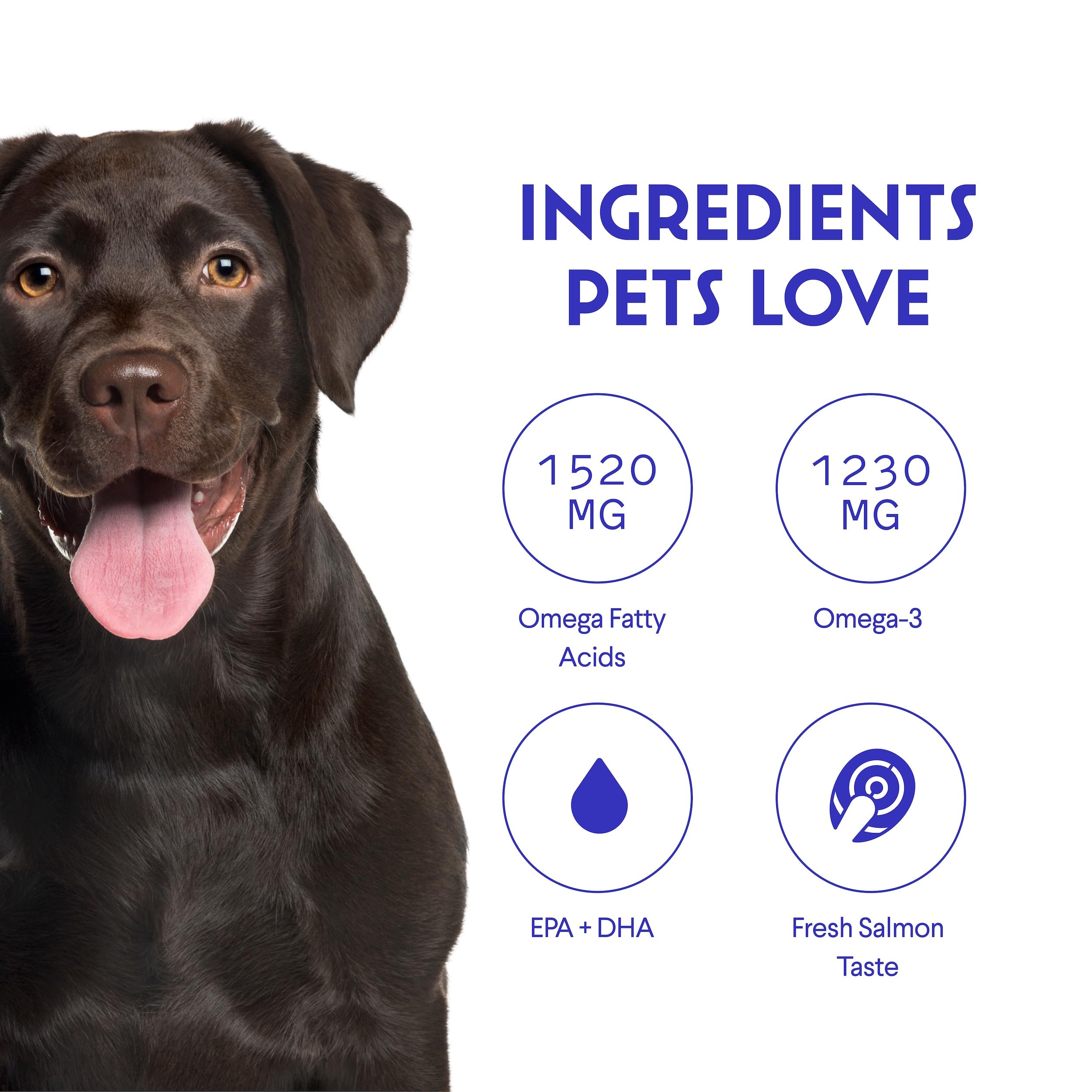 Wonder Paws Fish Oil meal-mixing demonstrates mess-free addition to dog meals