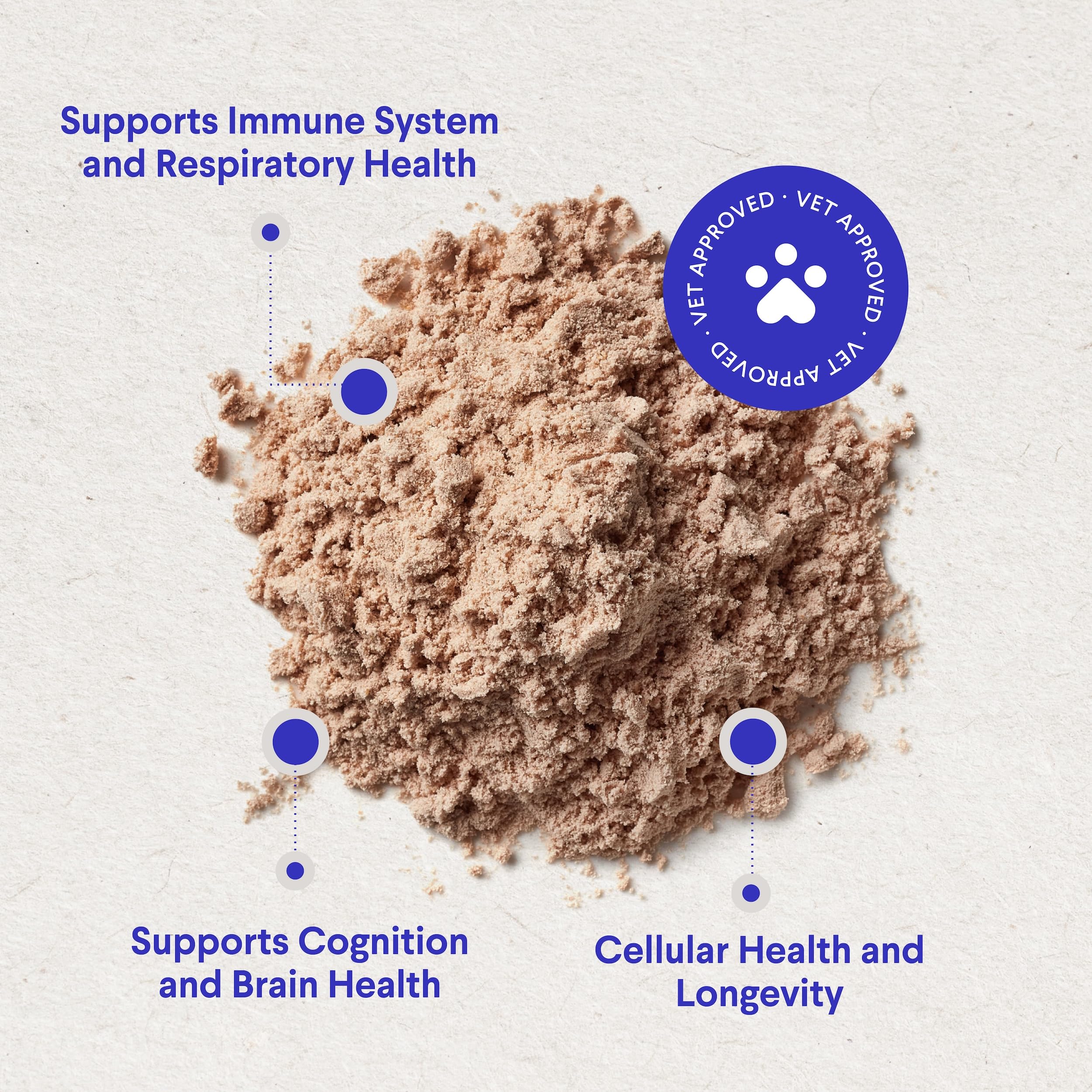 Wonder Paws reishi mushroom close-up for antioxidant nourishment