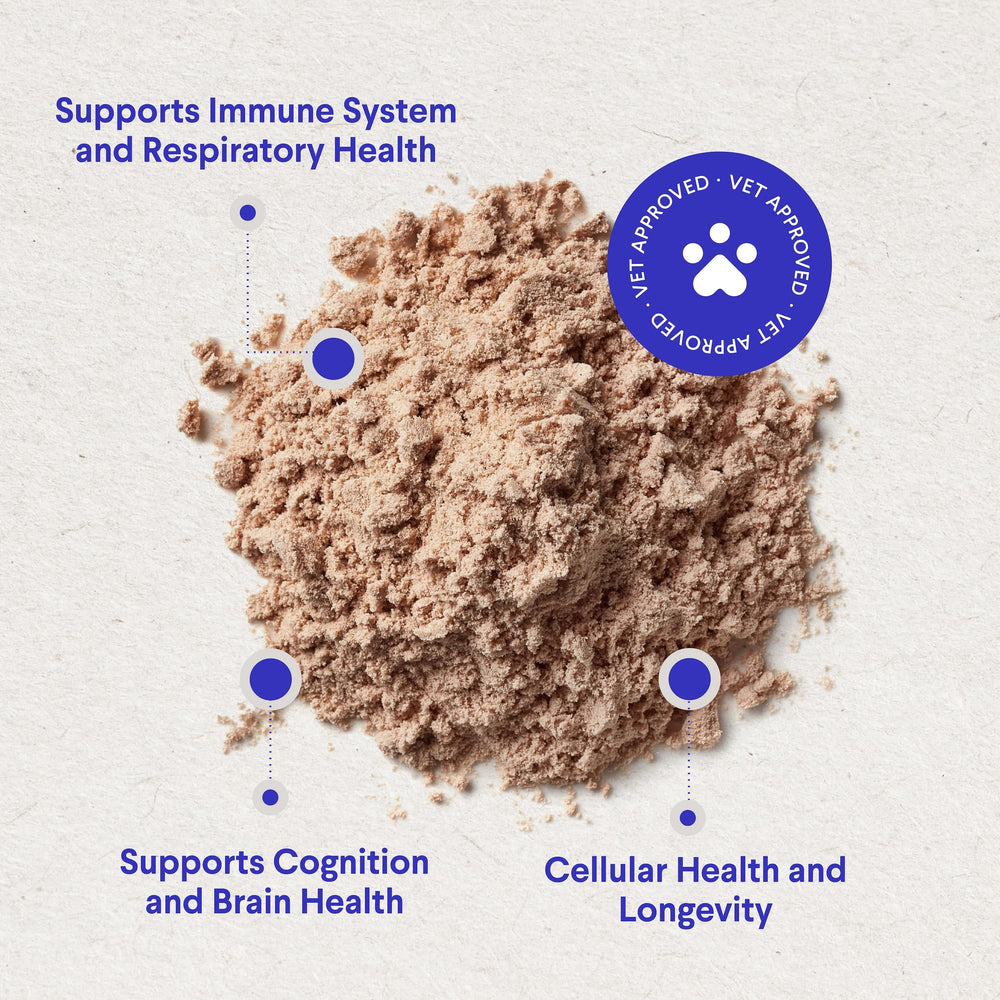 Wonder Paws reishi mushroom close-up for antioxidant nourishment
