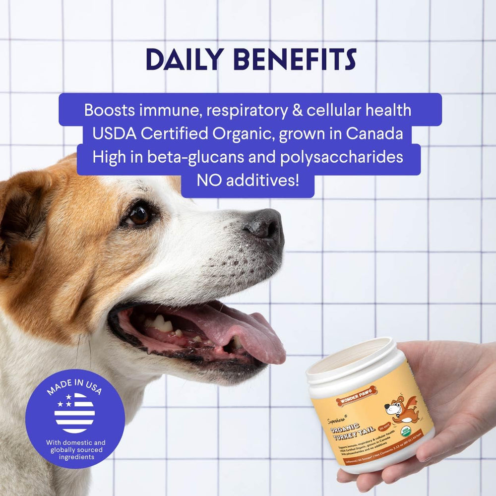 Wonder Paws turkey tail powder topping on kibble to aid digestion.