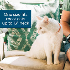 Wondercide cat collar break-away safety feature in action