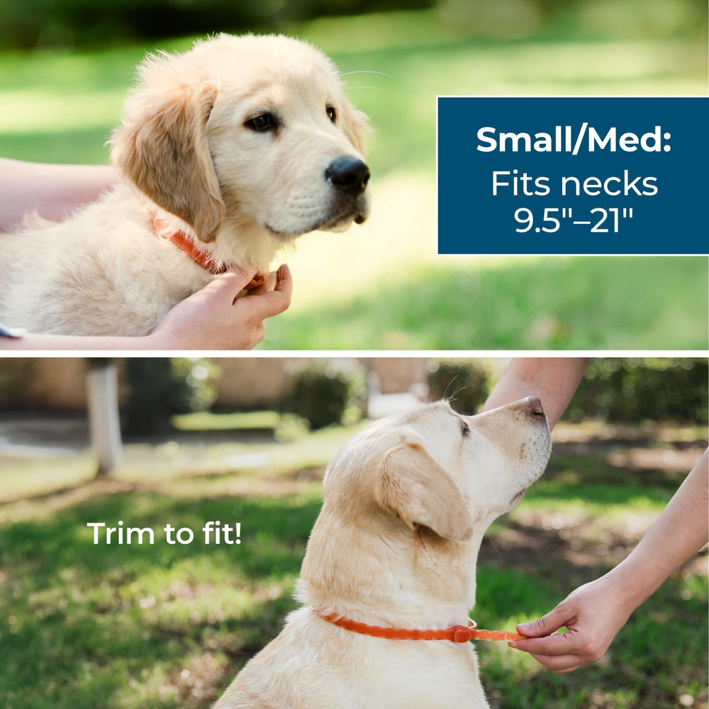 Wondercide dog collar uses natural essential oils for plant-powered repellency.