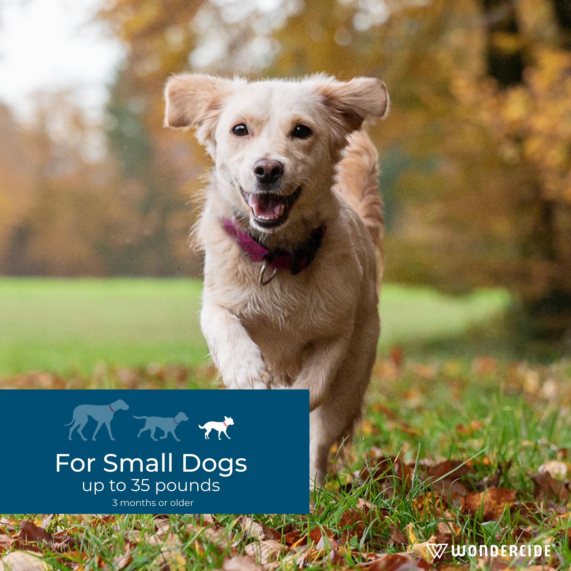 Wondercide dog spot-on demonstrates peppermint scent for a fresh, pleasant application.