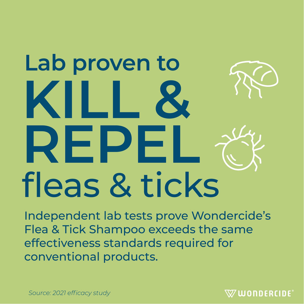 Wondercide flea-tick shampoo hands rinsing shows thorough wash and clean rinse capability.