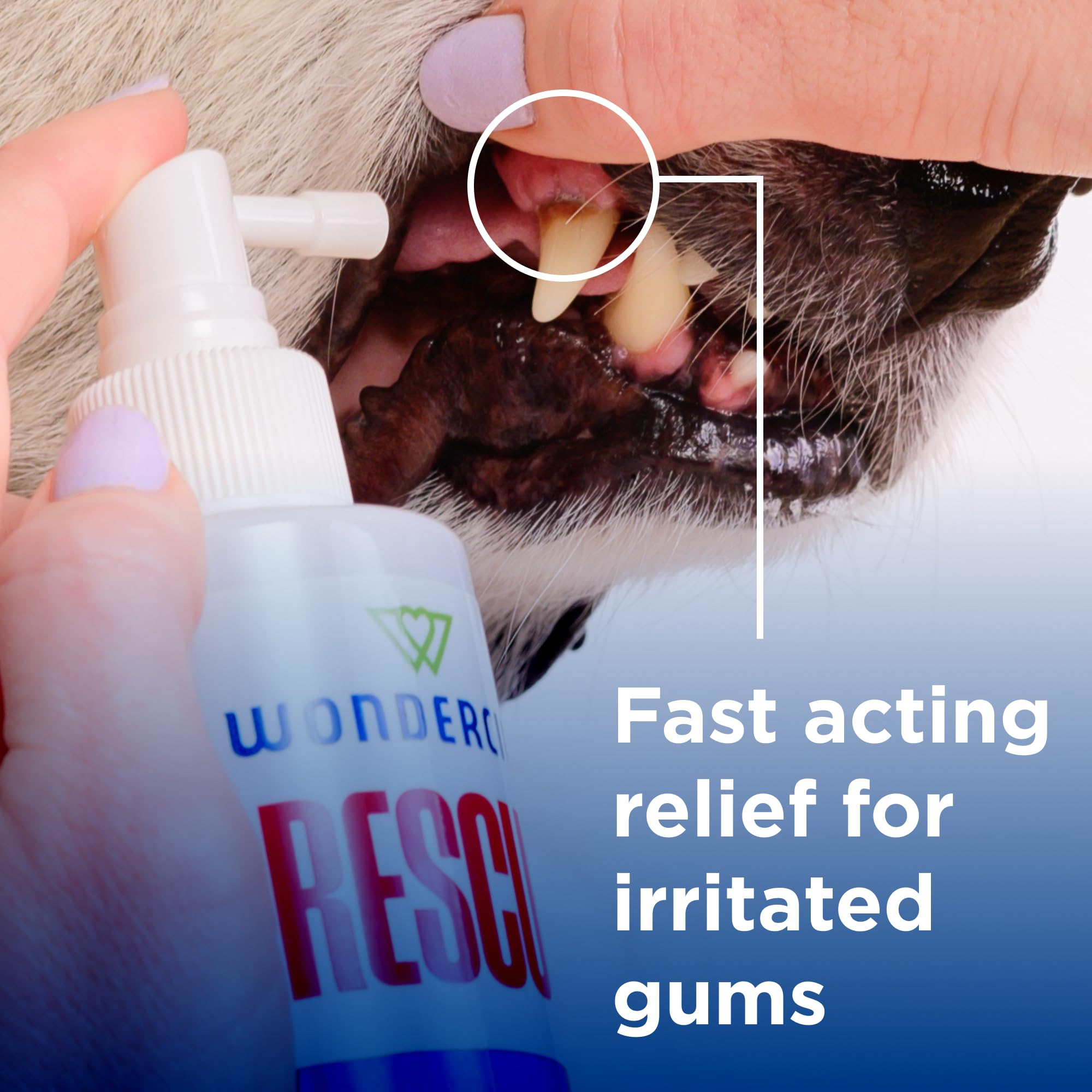 Wondercide Rescue mist-application demonstrates targeted spray to gums and teeth for comfort.