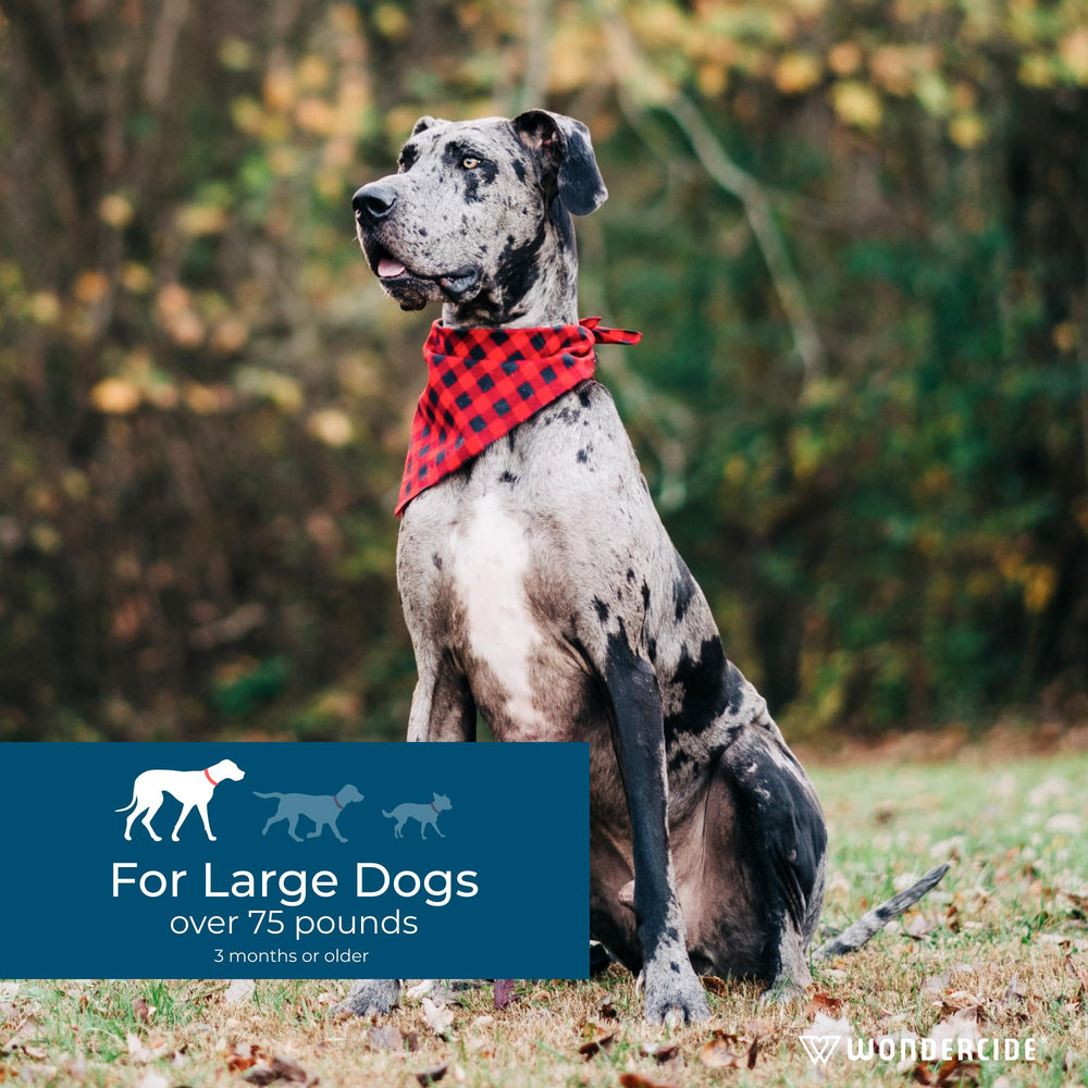 Wondercide spot-on application steps demonstrating easy preventive care for dogs