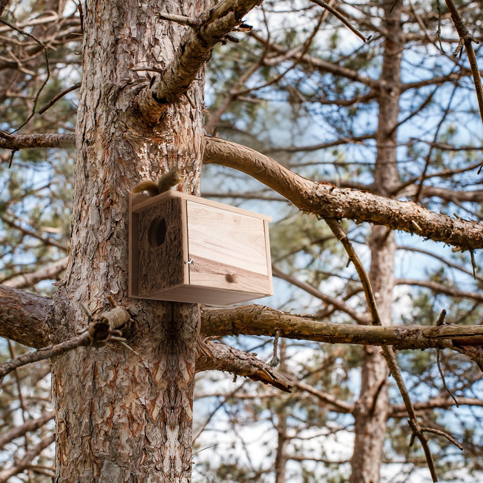 Wonderjune squirrel nesting box in garden setting; supports local wildlife in yard