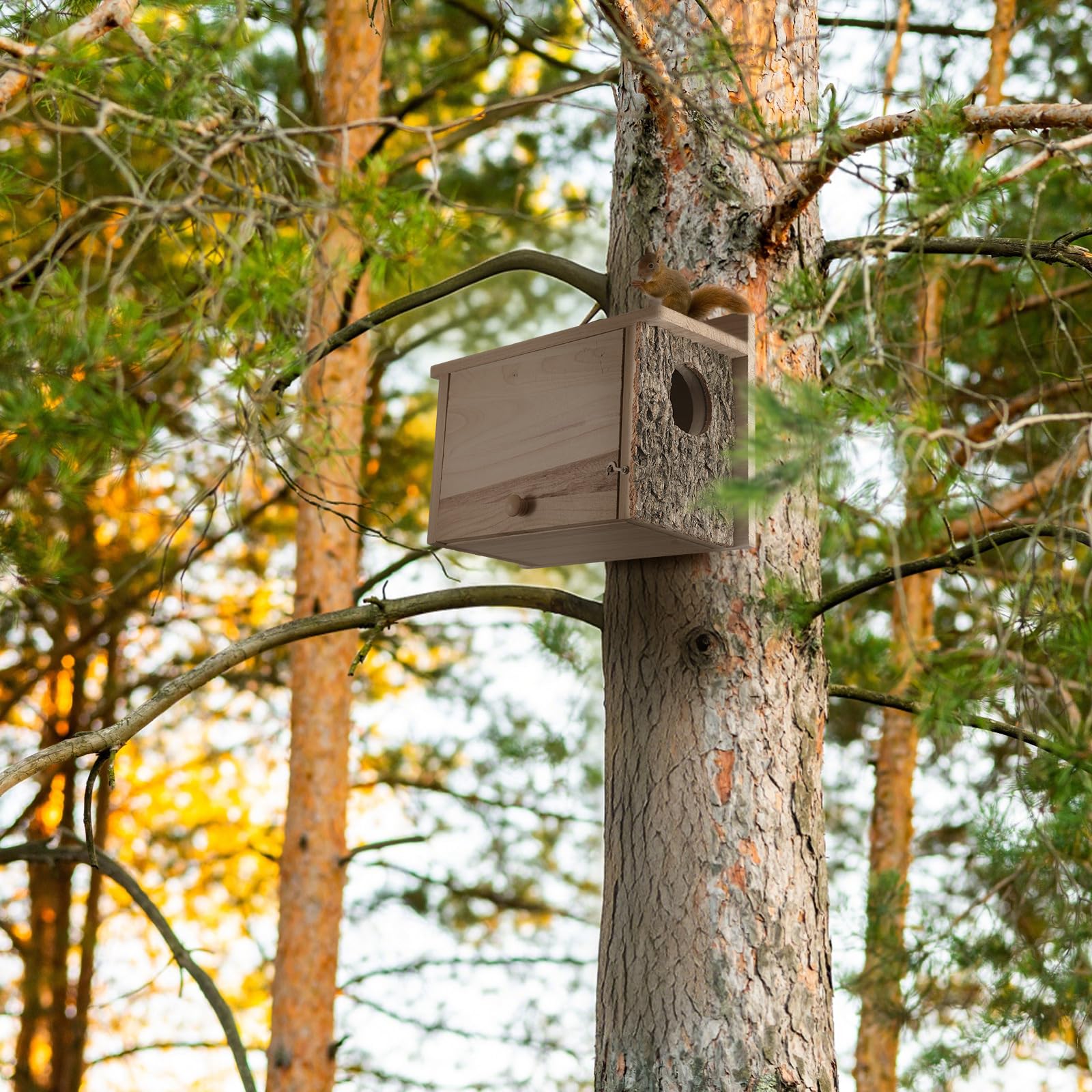 Wonderjune squirrel nesting box material closeup; thick pine wood and natural finish