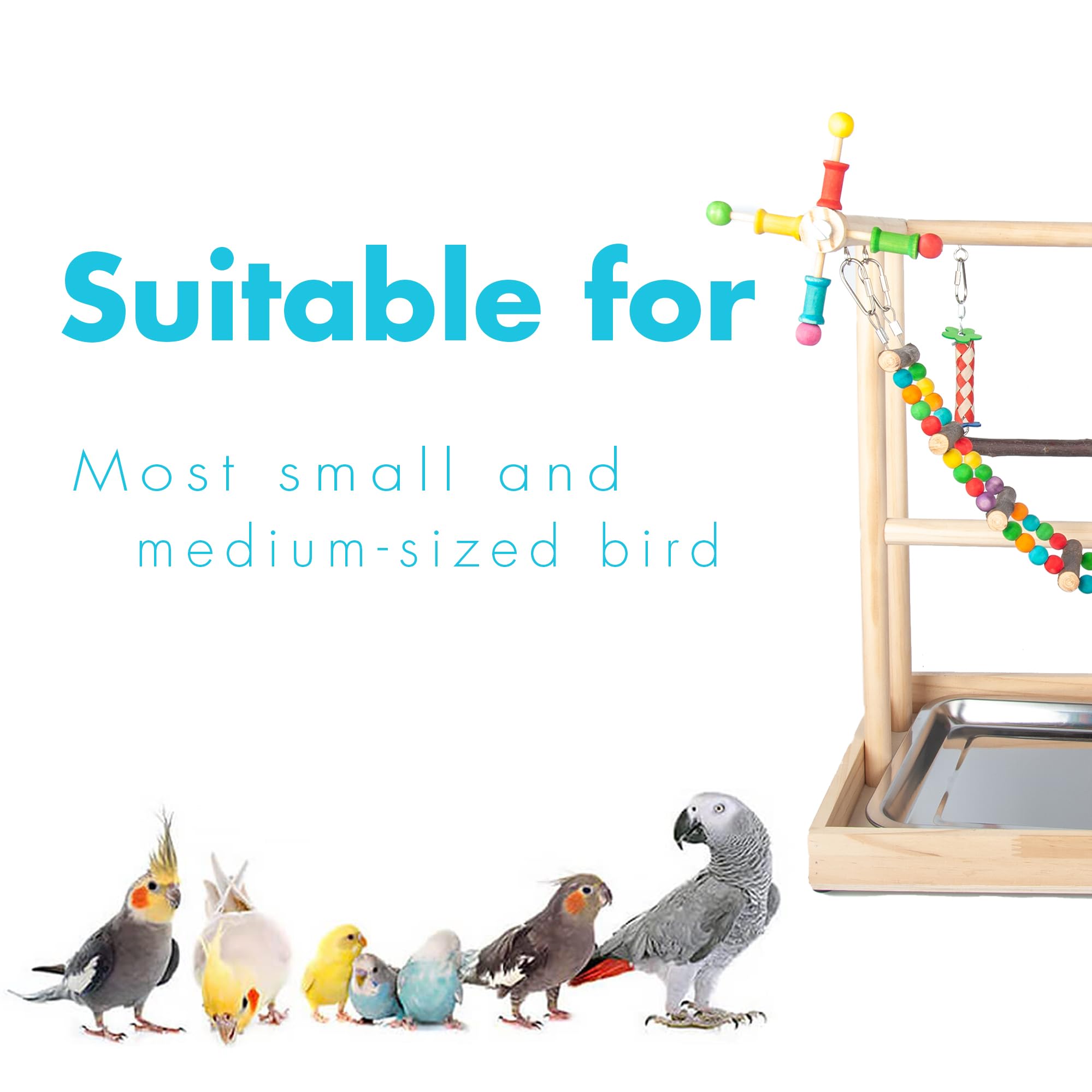Wondwo desk-friendly perch setup ready for cockatiels during enrichment sessions.