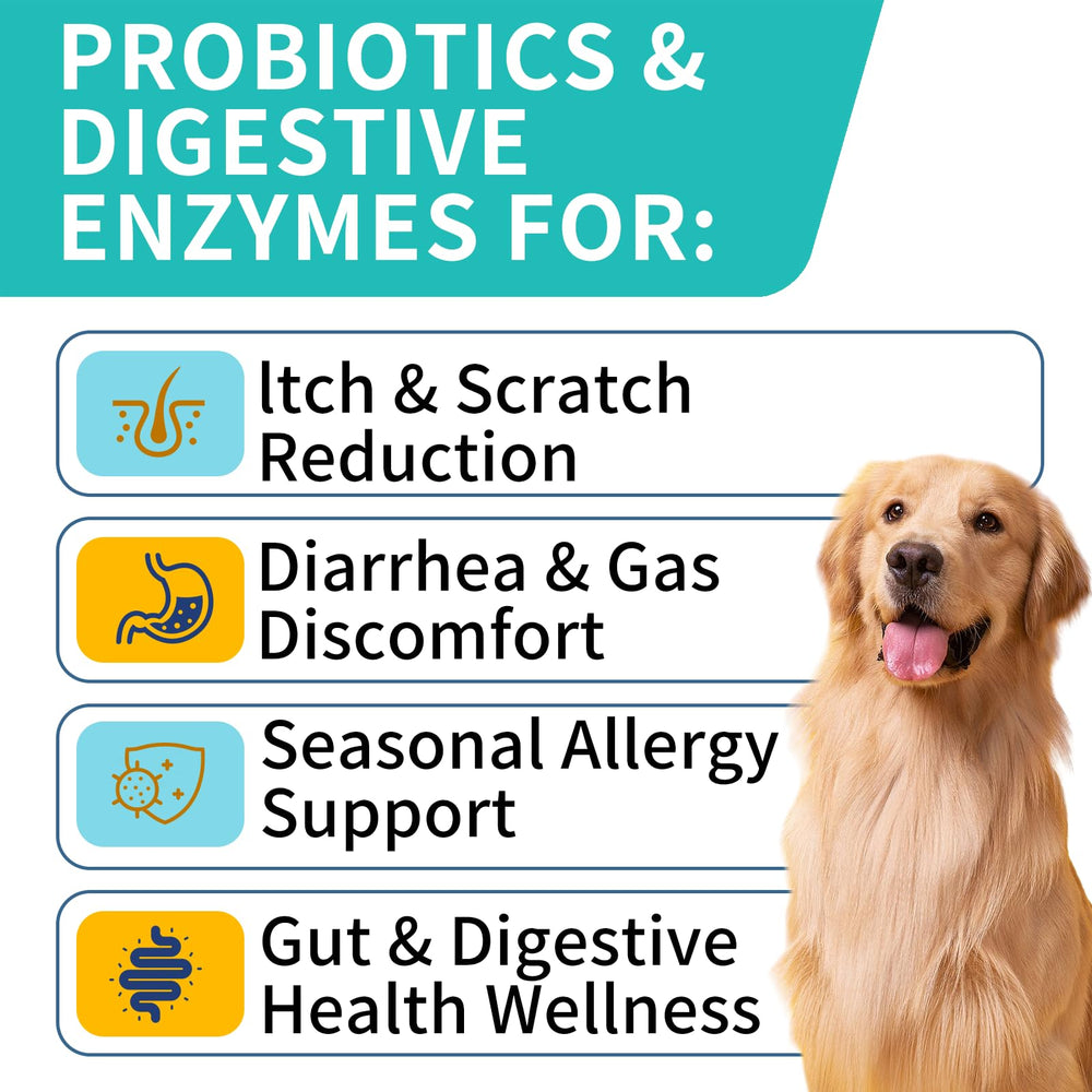 WONTECHMI Probiotics for Dogs bottle and chews illustrating everyday immune support for pets.