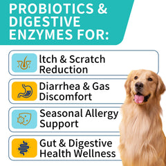 WONTECHMI Probiotics for Dogs bottle and chews illustrating everyday immune support for pets.