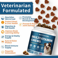 WONTECHMI glucosamine chondroitin chews for joints and mobility support