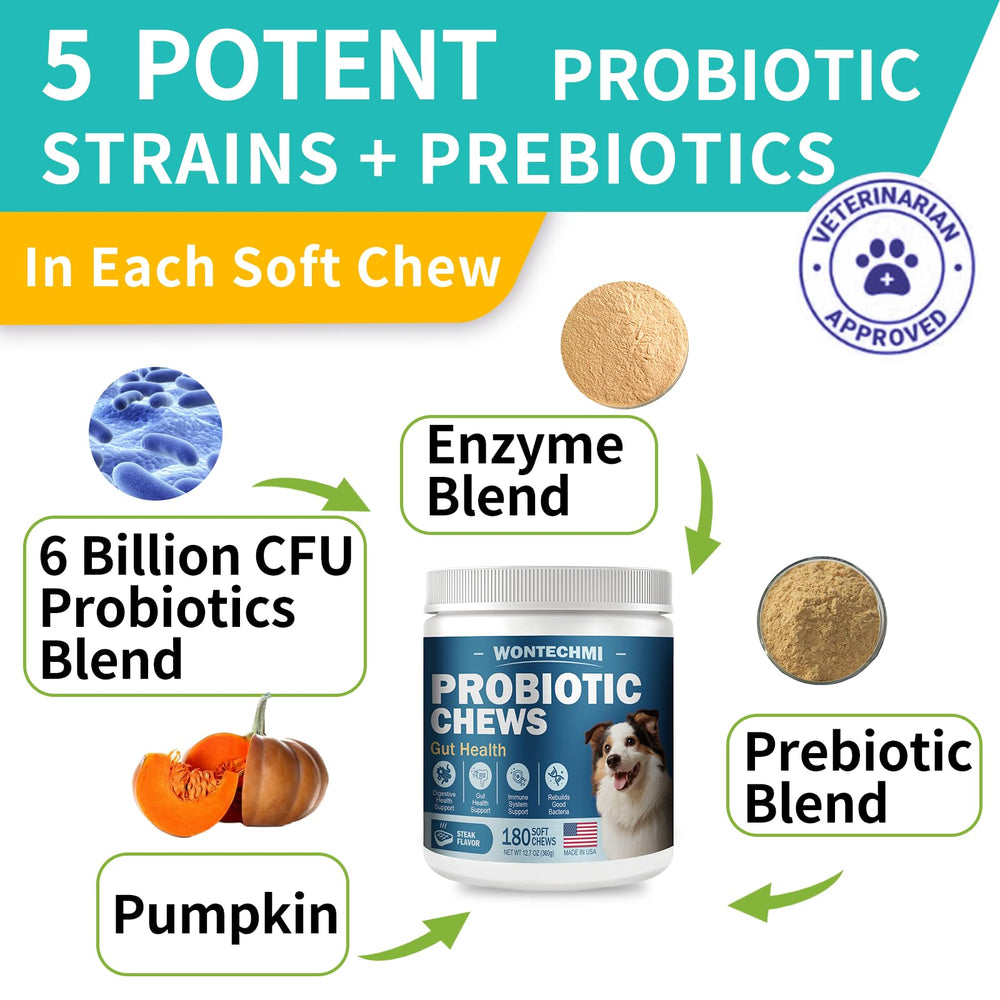 WONTECHMI dog probiotic chew highlighting balanced gut flora for improved digestion.