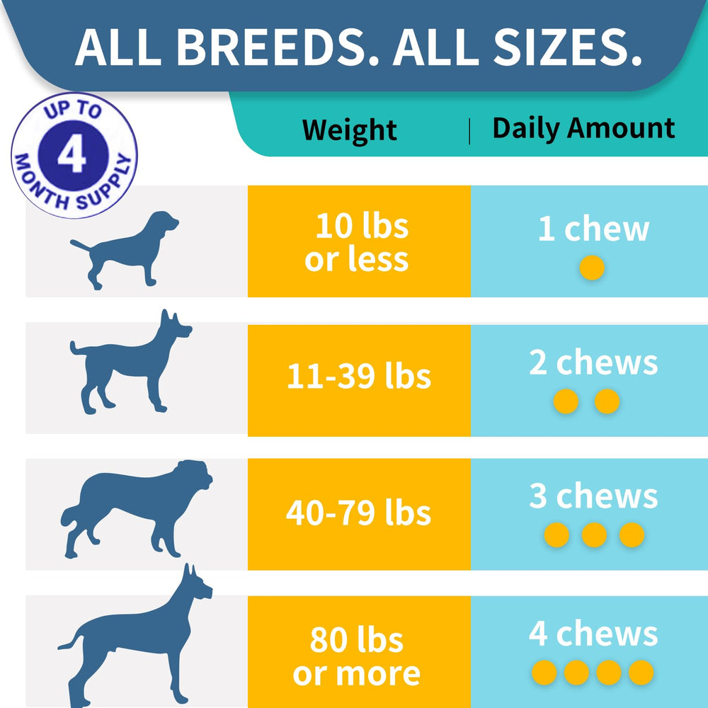 WONTECHMI chews with prebiotics and enzymes aiding post-meal digestion in dogs.