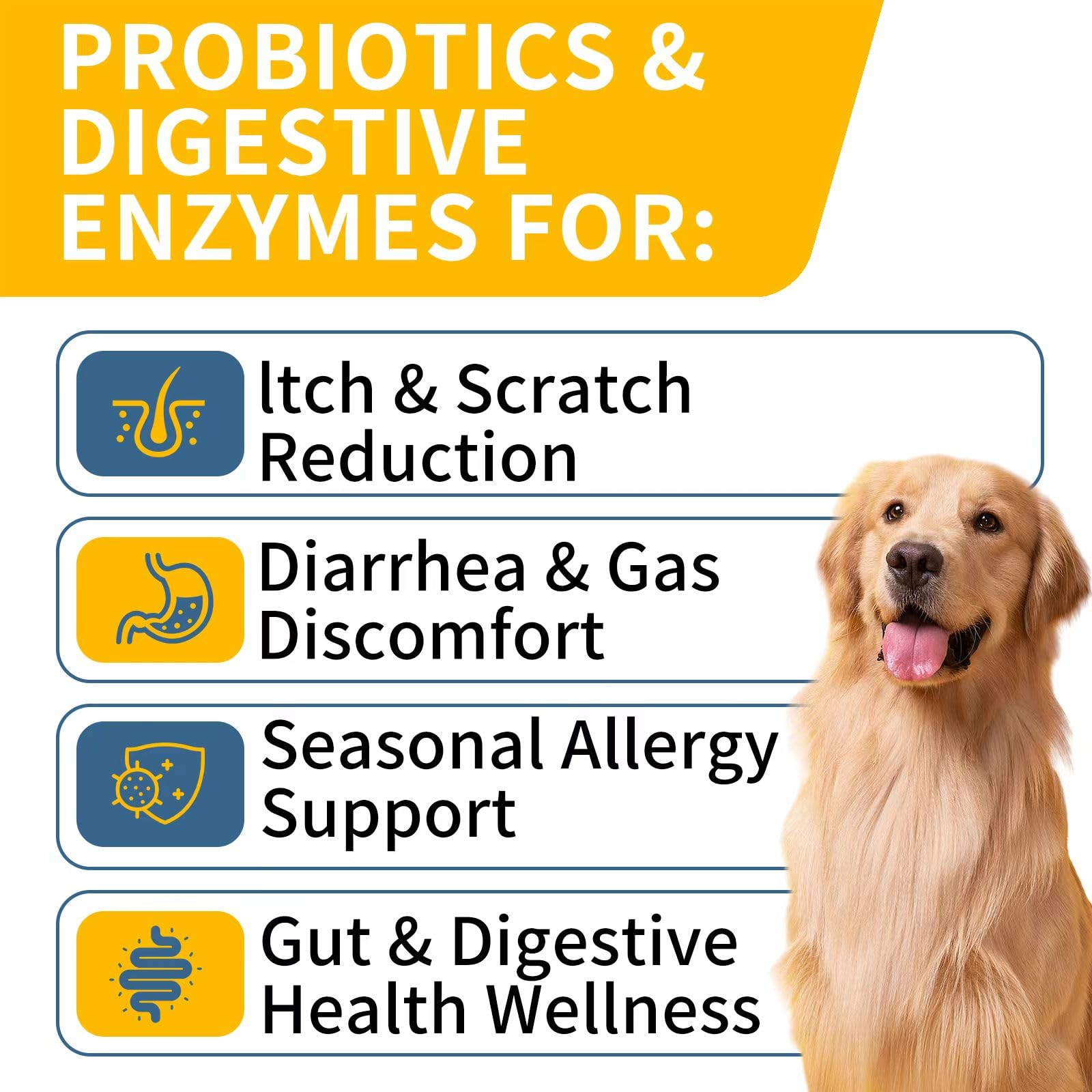 WONTECHMI Probiotics for Dogs chicken-flavored soft chews for easy administration.