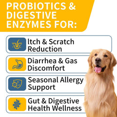 WONTECHMI Probiotics for Dogs chicken-flavored soft chews for easy administration.
