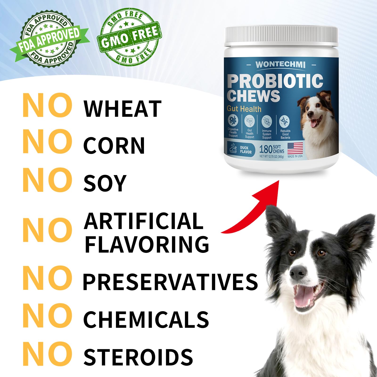 WONTECHMI Probiotics for Dogs immune wellness concept shown on packaging and dog.