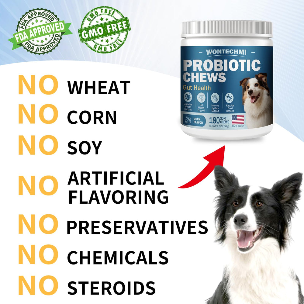 WONTECHMI Probiotics for Dogs immune wellness concept shown on packaging and dog.
