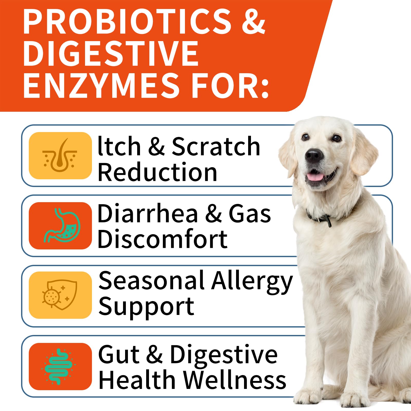 WONTECHMI Probiotics for Dogs ingredients natural USA label indicates premium gut health support.