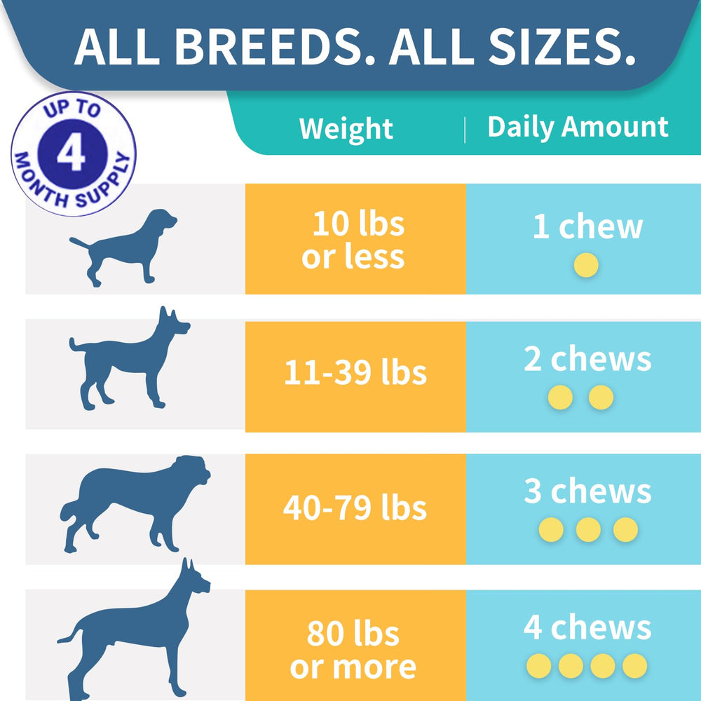 WONTECHMI Probiotics for Dogs prebiotics and enzymes highlight digestion aid and absorption.