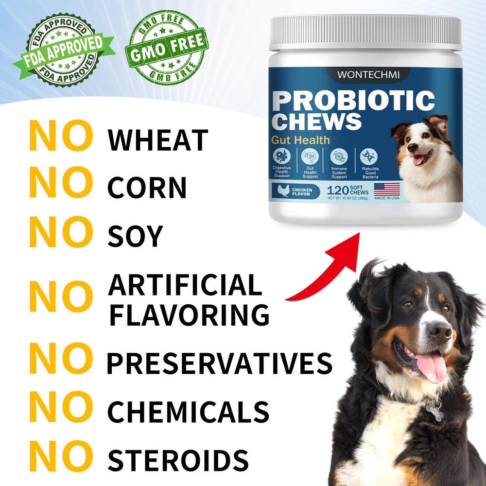 WONTECHMI Probiotics for Dogs ready-to-serve chews for daily care.