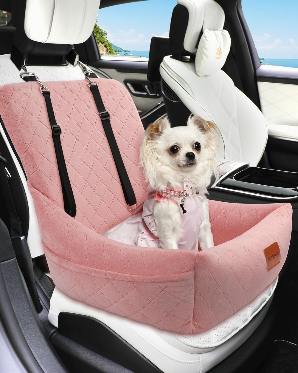 Wooaidagg clip-on leashes in action, extra security during rides.
