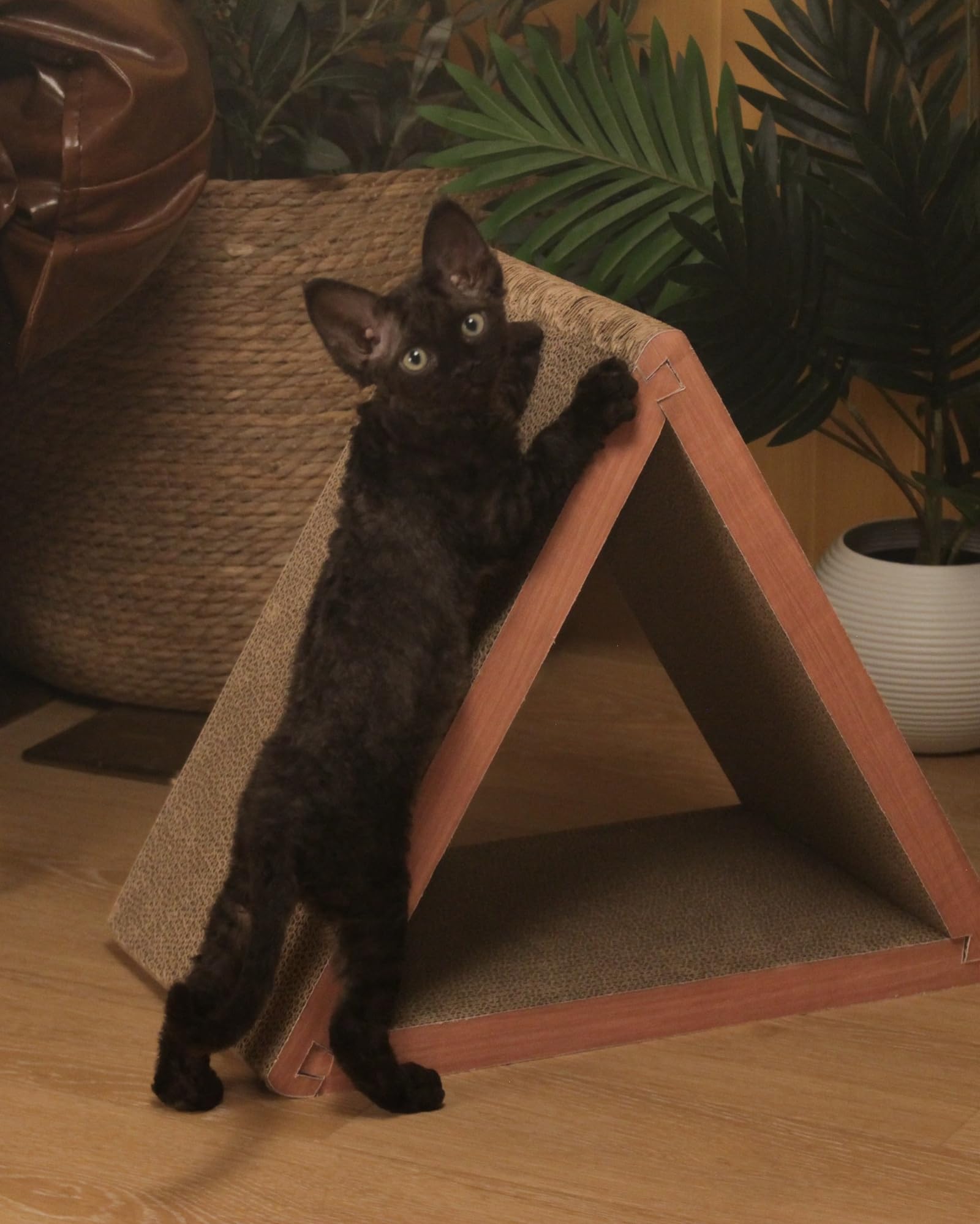 WooBayVan cat-scratcher indoor-cat-use ideal for indoor scratching needs