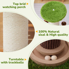 Woochpet 34 inch tall post with perch invites cats to stretch and rest.