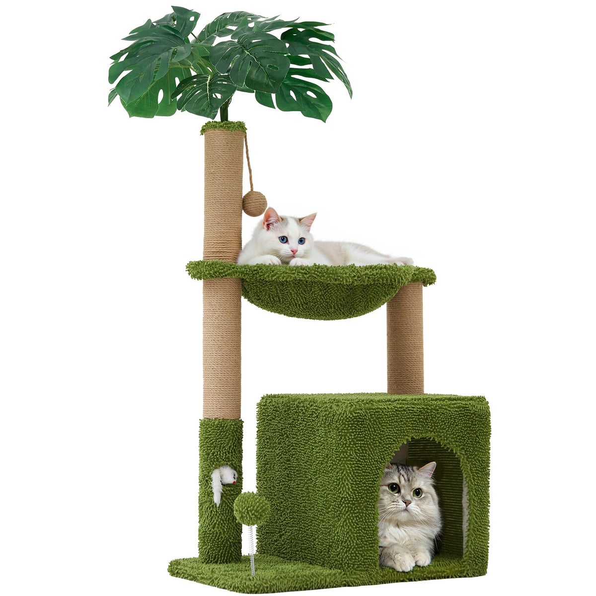 Woochpet cat tree top condo provides a private high perch for lounging.