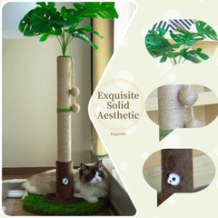 Woochpet hanging ball play boosts interactive fun and curiosity for kittens.