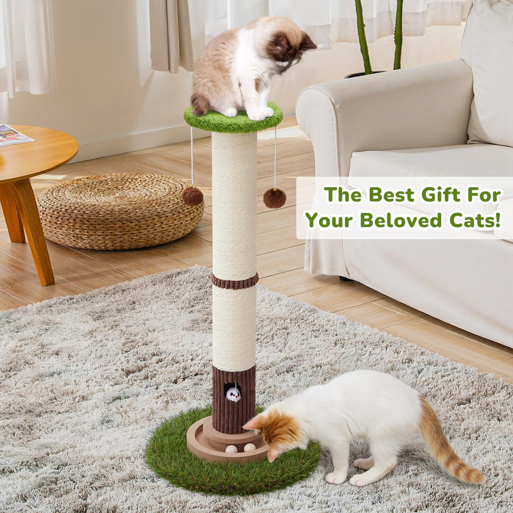 Woochpet heavy base reinforced chipboard ensures strong stability during play.