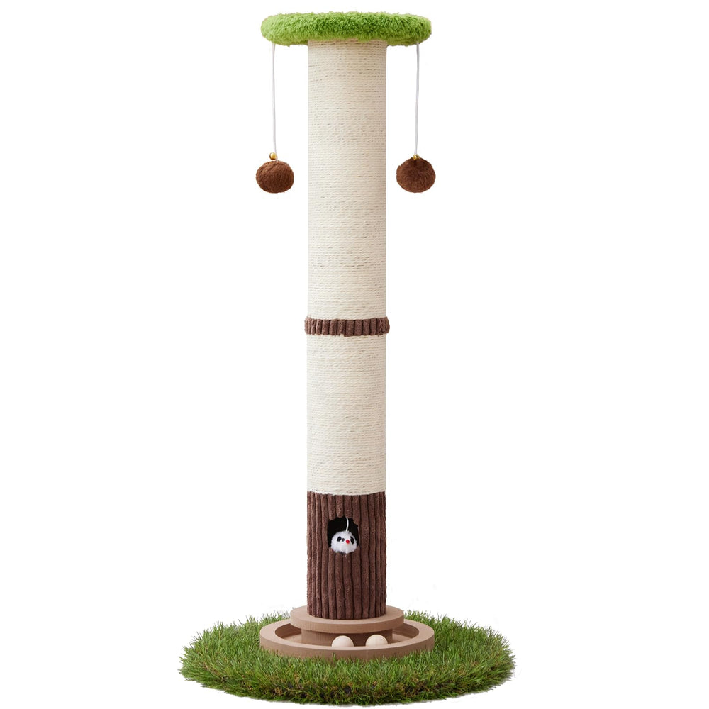 Woochpet indoor setup demonstrates space-efficient cat playground in living room.