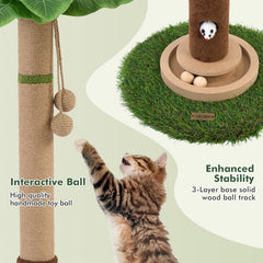 Woochpet interactive wooden ball invites paw engagement and activity.