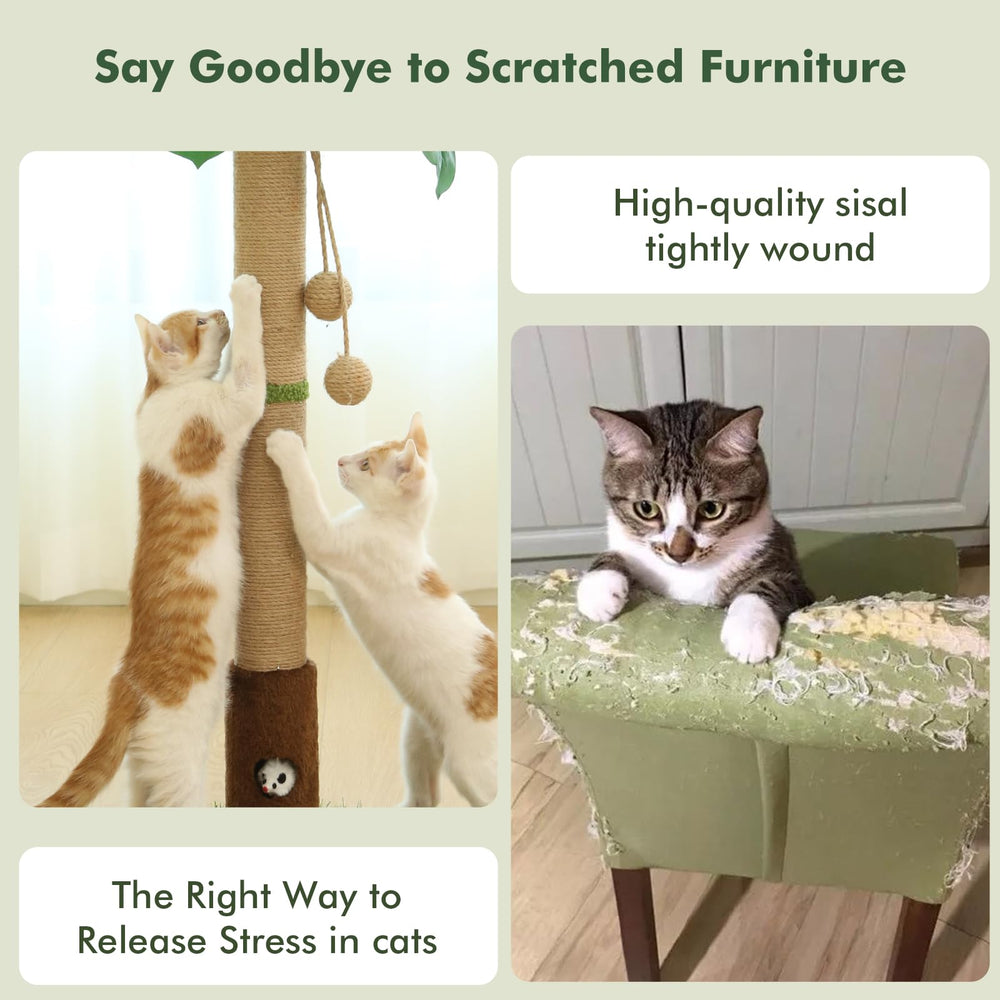 Woochpet plush fabric base offers comfortable scratch area with extra grip.