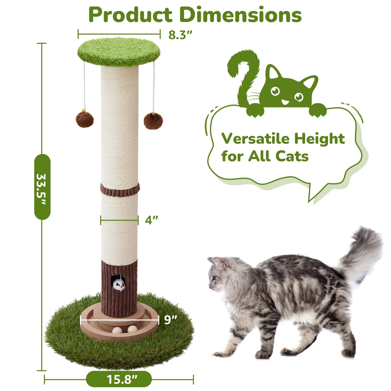 Woochpet base stability shot demonstrates steady foundation for vigorous play.