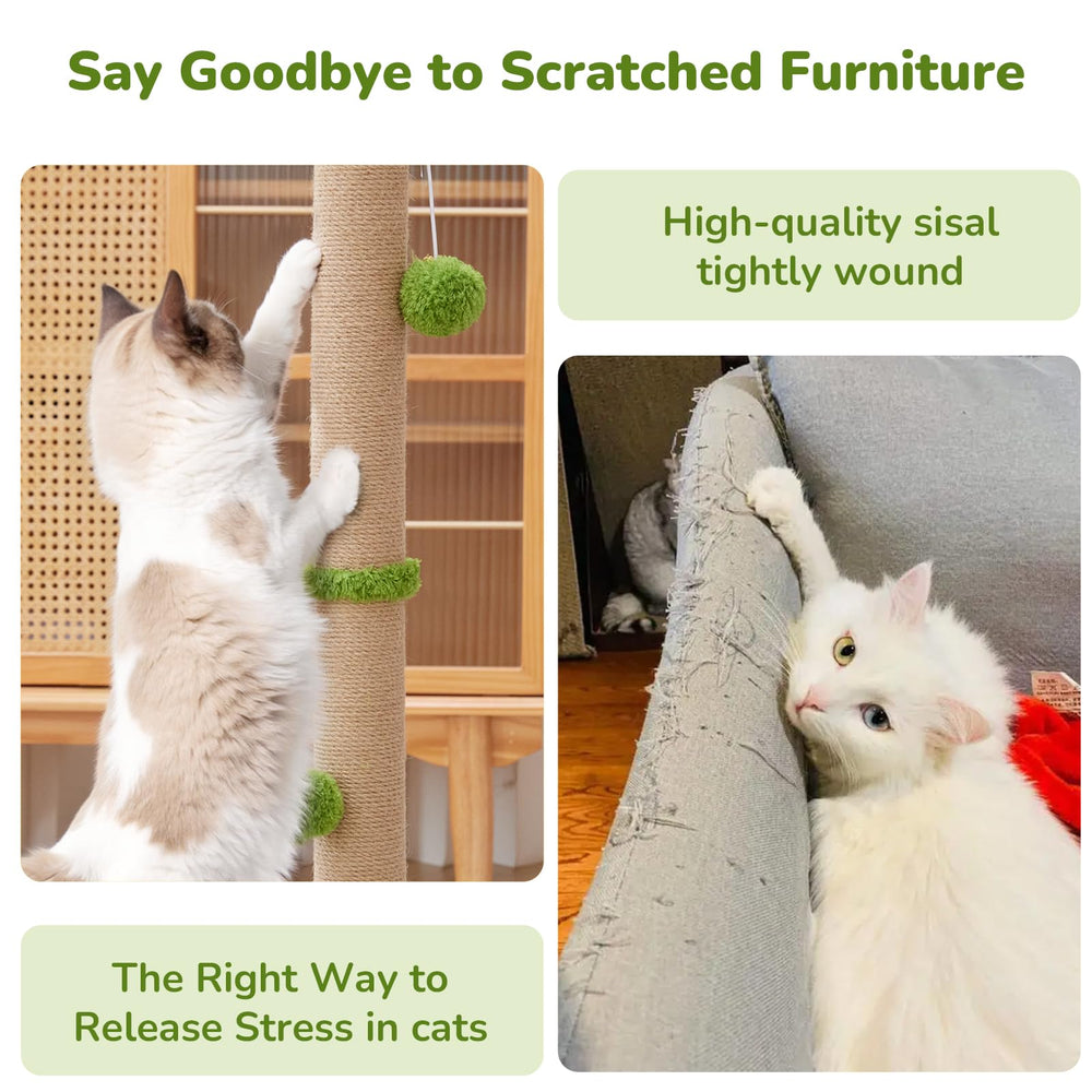 Woochpet soft plush base offers a comfy resting surface after play