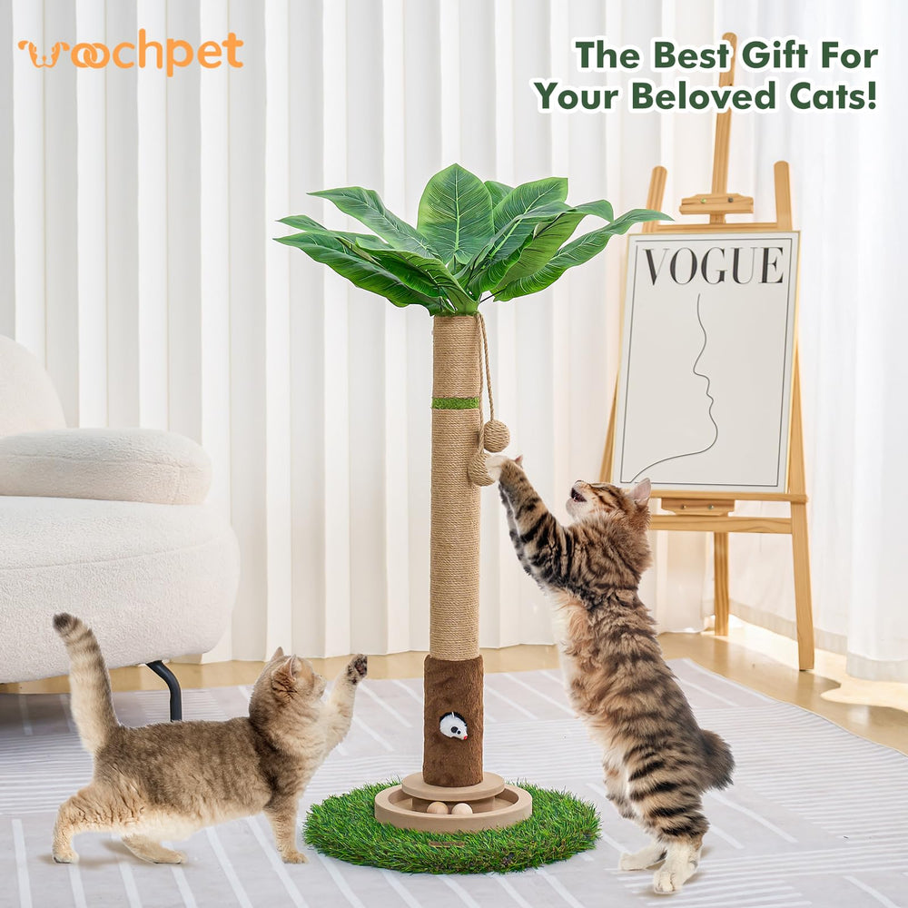 Woochpet stable base supports kittens and adults during lively indoor sessions.