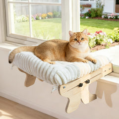 Woochpet window perch installed front view shows sturdy frame for active cats