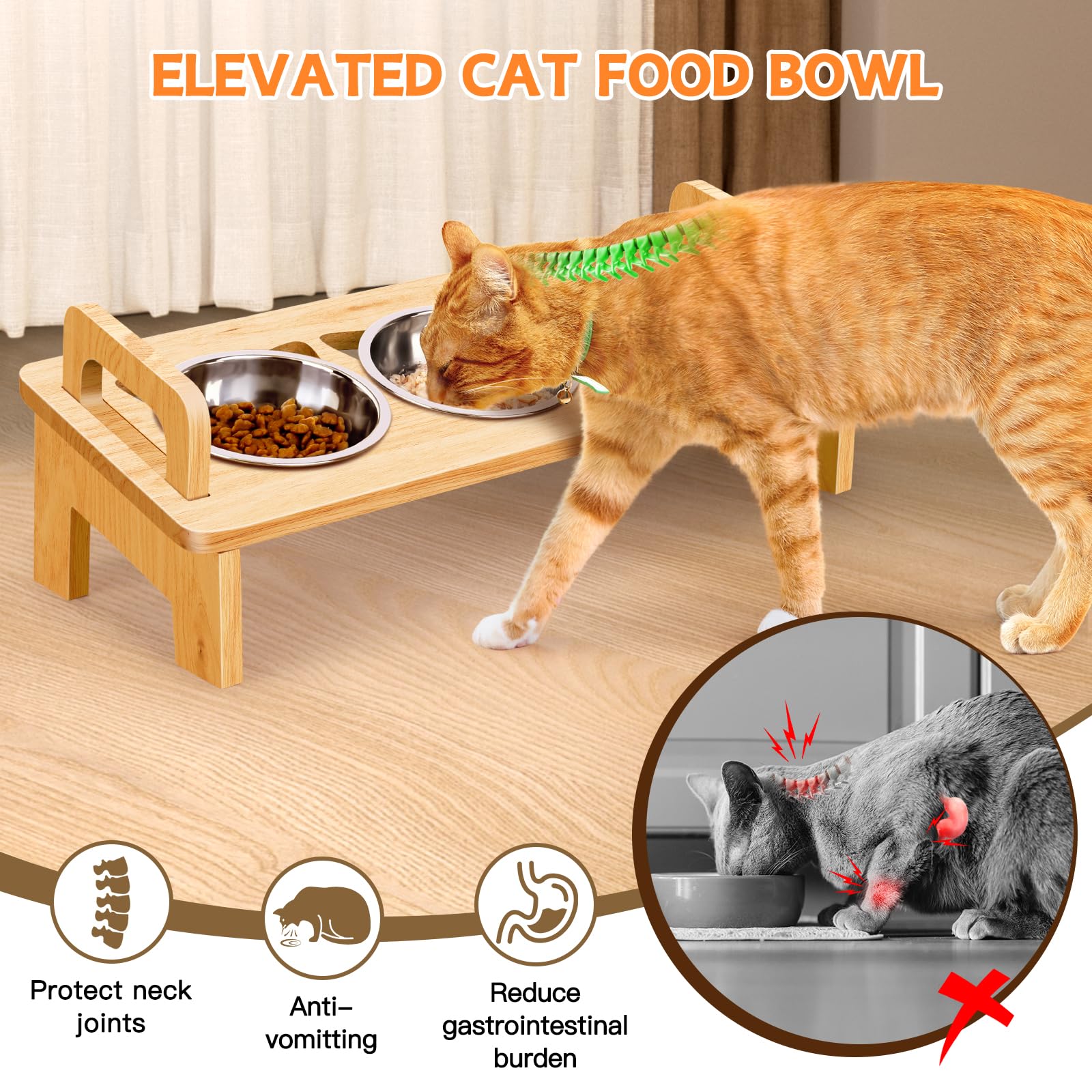 Woodever tilted 15-degree cat bowl promotes comfortable eating posture