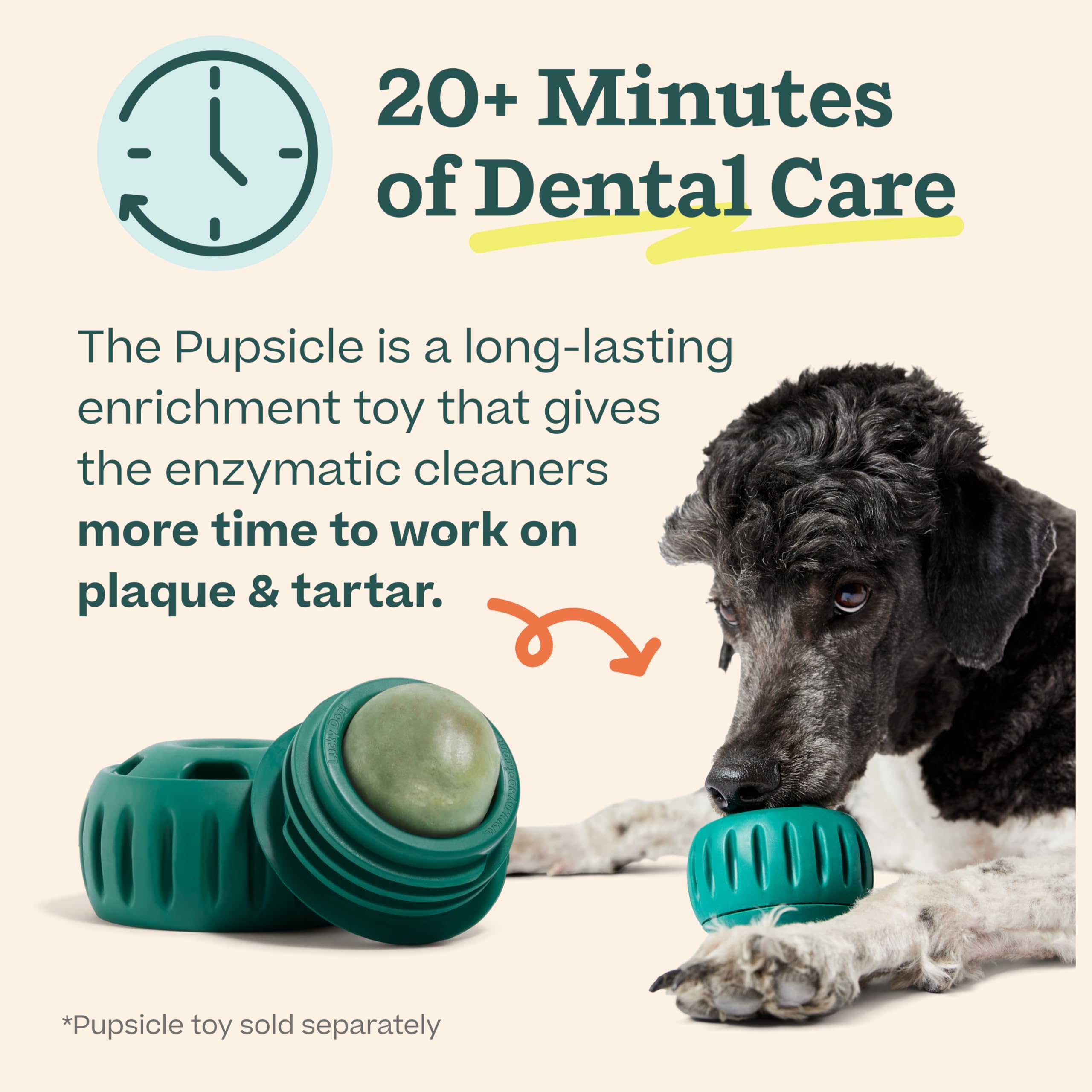 Woof 20-minute dental cleansing action illustrates long-lasting care during play.