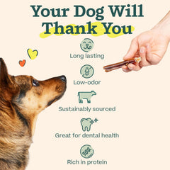 WOOF Bully Sticks suited for all dogs, long-lasting rewards and varied chew sessions.
