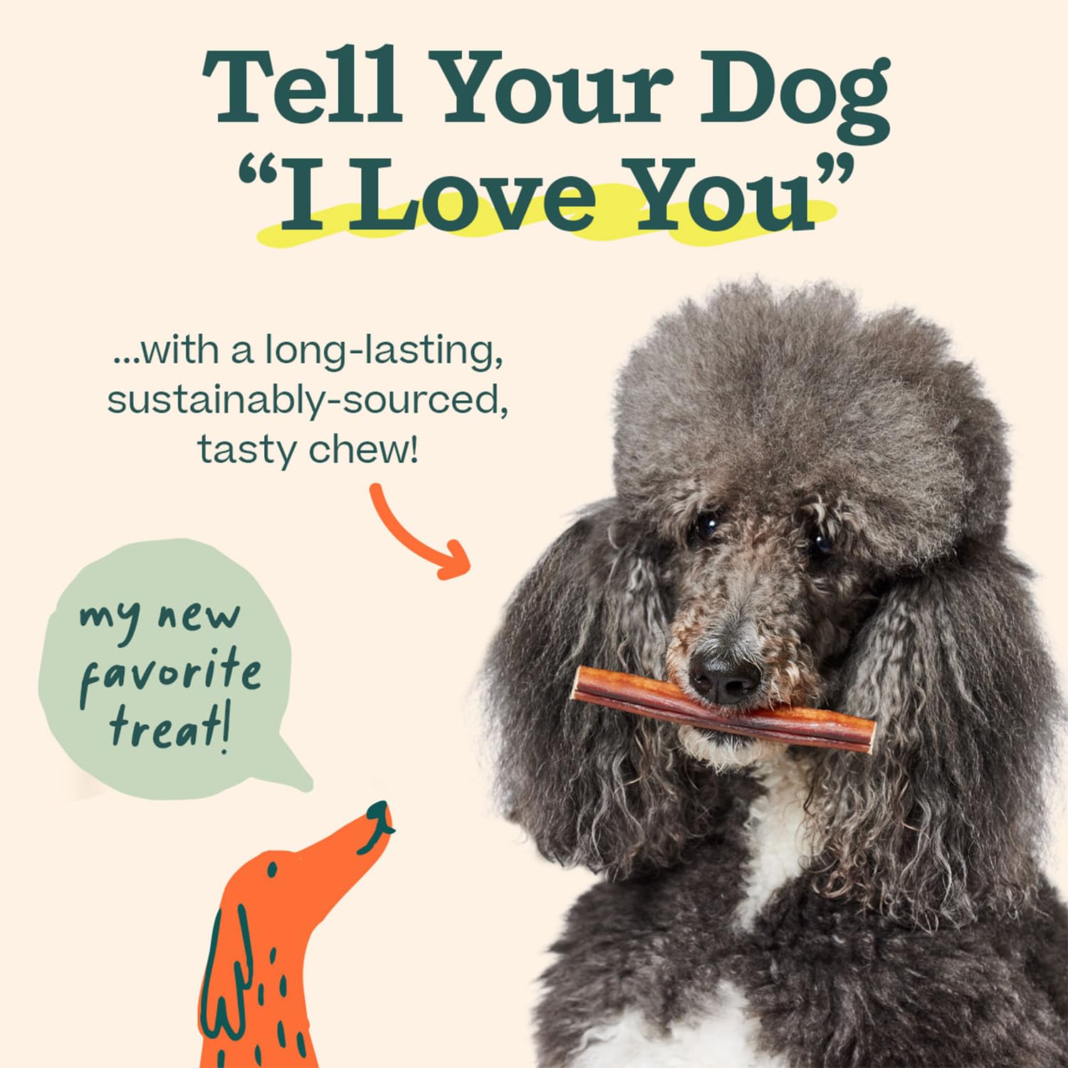 WOOF bully sticks designed in Denver for trusted pet enrichment.