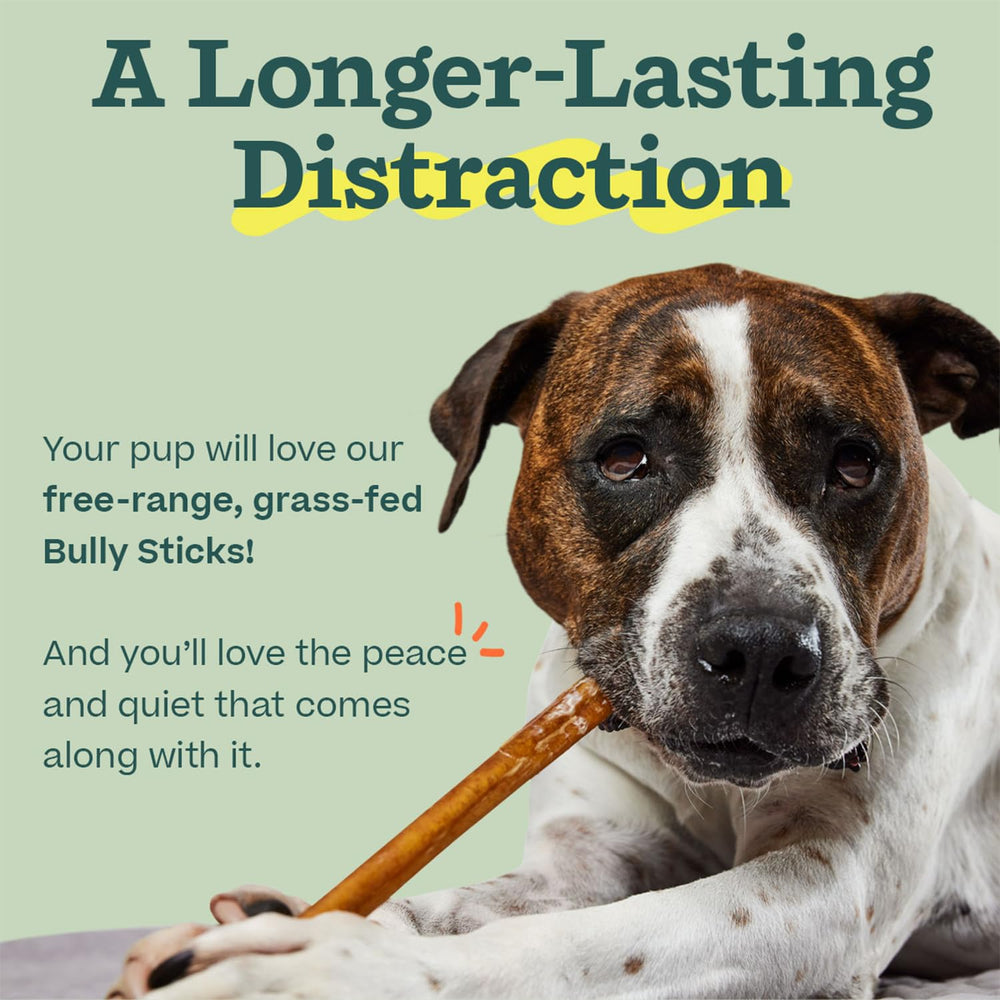 WOOF bully sticks made from grass-fed beef offer premium, safe chew.