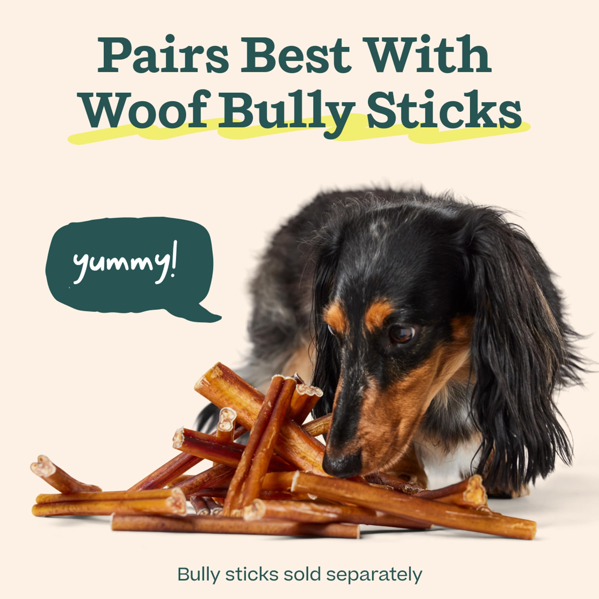 WOOF BullySafe Denver-born design emphasizes durable, dog-friendly craftsmanship.