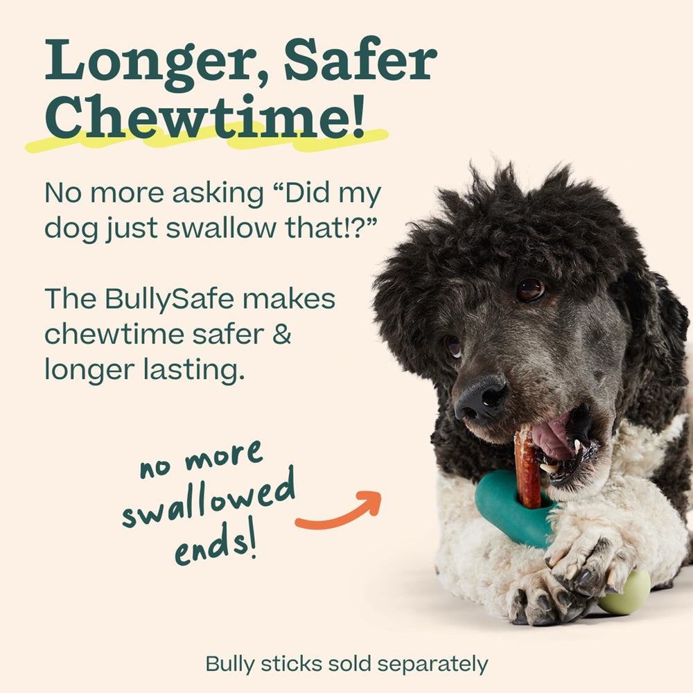 WOOF BullySafe dog chew time view shows longer, focused play sessions.