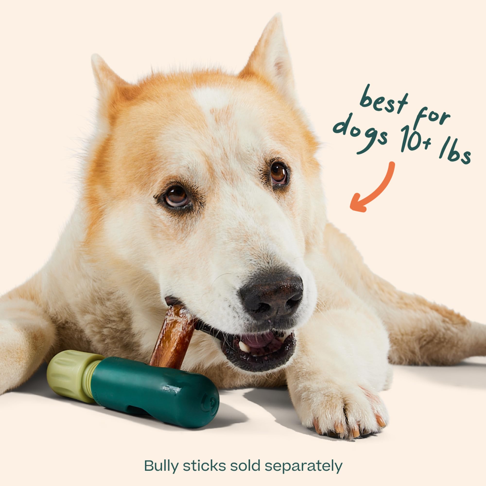 WOOF BullySafe pair-with-bully-sticks image highlights optimal pairing for extended chews.