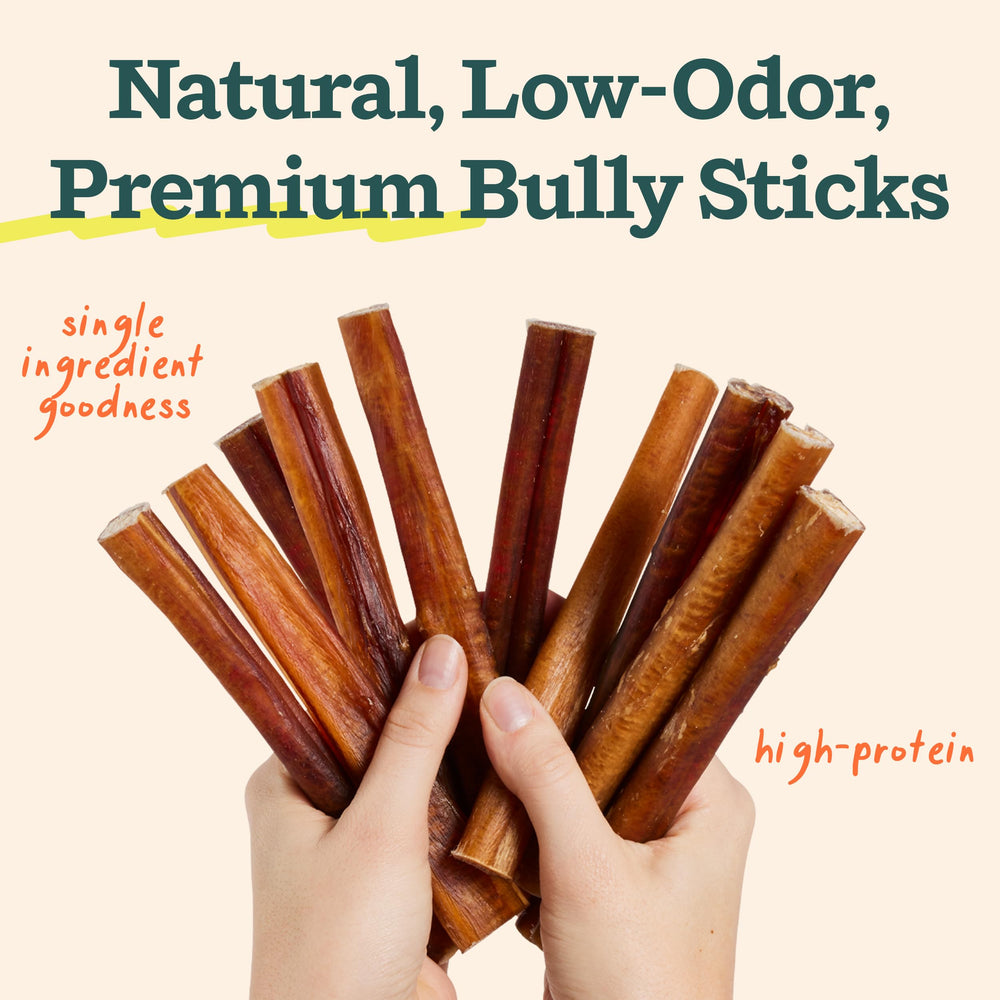 WOOF BullySafe secure chews keep ends from swallowing during playtime.